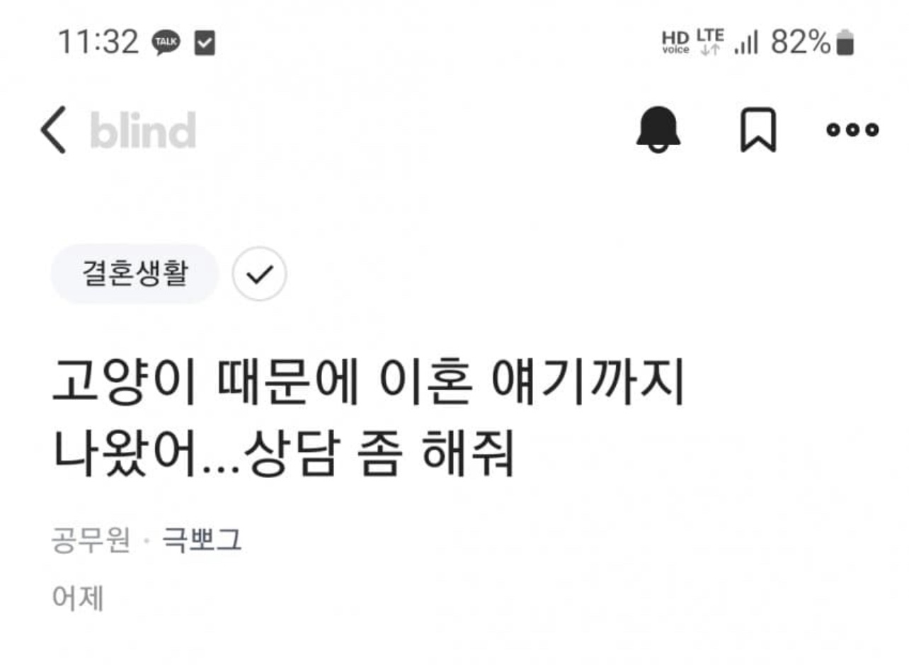 블라인드 고양이 인기글 대참사